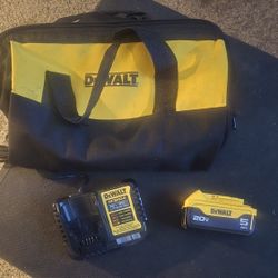 DEWALT 20V MAX 5 Ah Lithium Ion Battery and Charger Kit with Bag (Bit Set Included)
