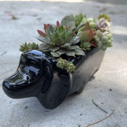 Dachshund Planter 
