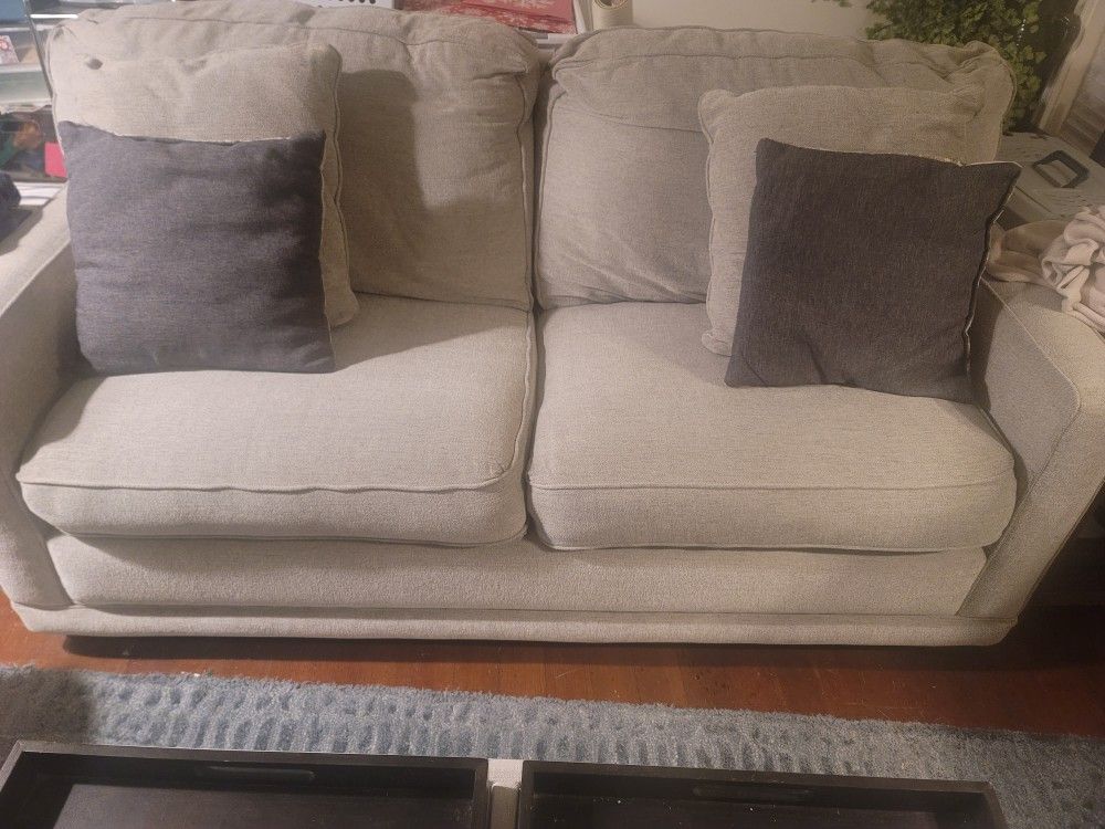 Love Seat PULL-OUT COUCH