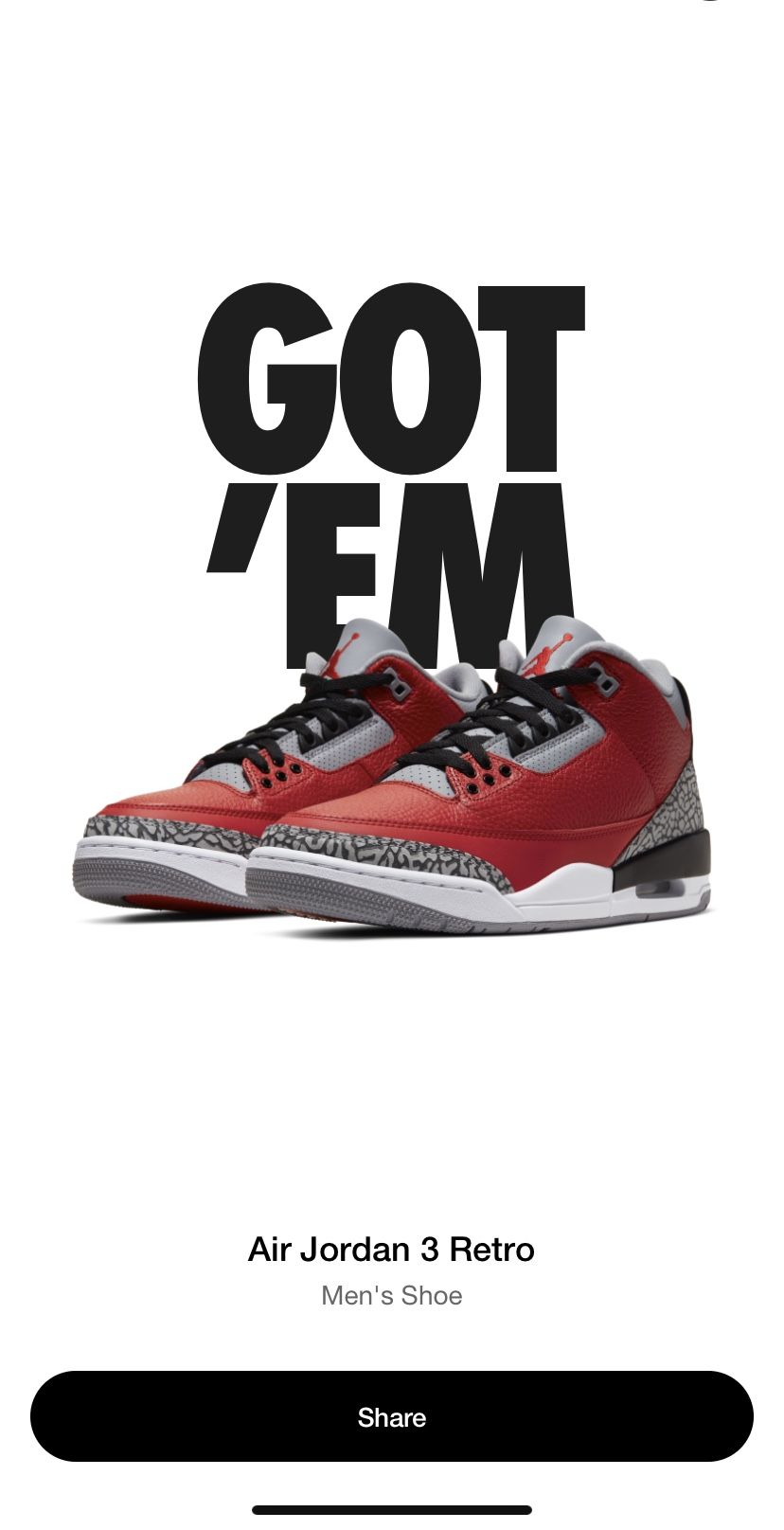 Jordan retro 3 Chi Edition *deadstock