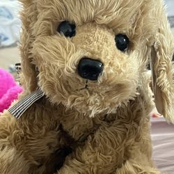 Stuffed Animal