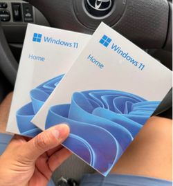 Microsoft Windows 11 Home — 2 Copies