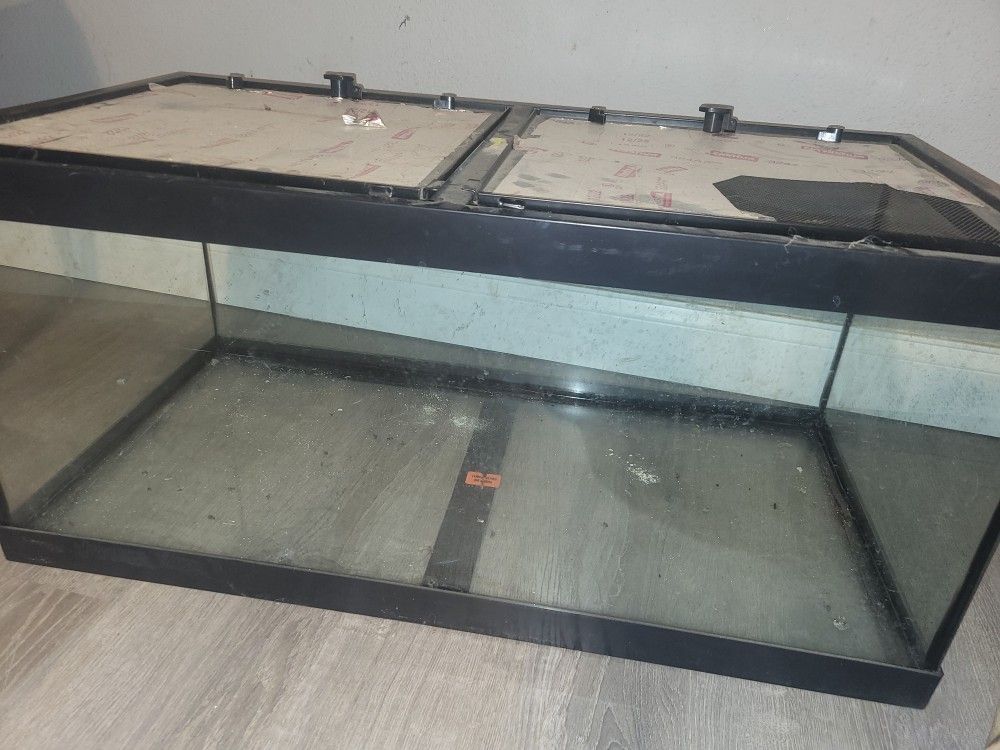 Reptile Tank