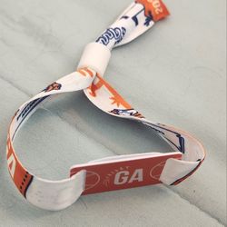 Extra Innings One Day General Admission Bracelet  2/27