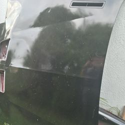 Firebird hood & bumper