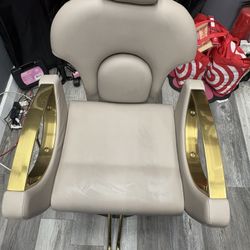 Hydraulic Reclining Salon Chair