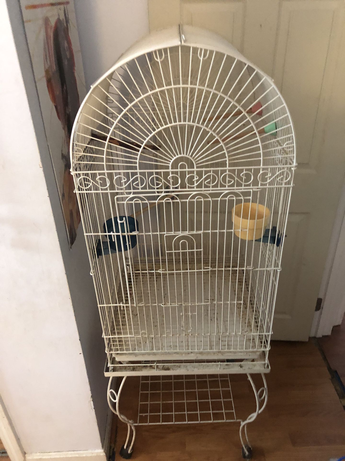 Bird Cage  (used)