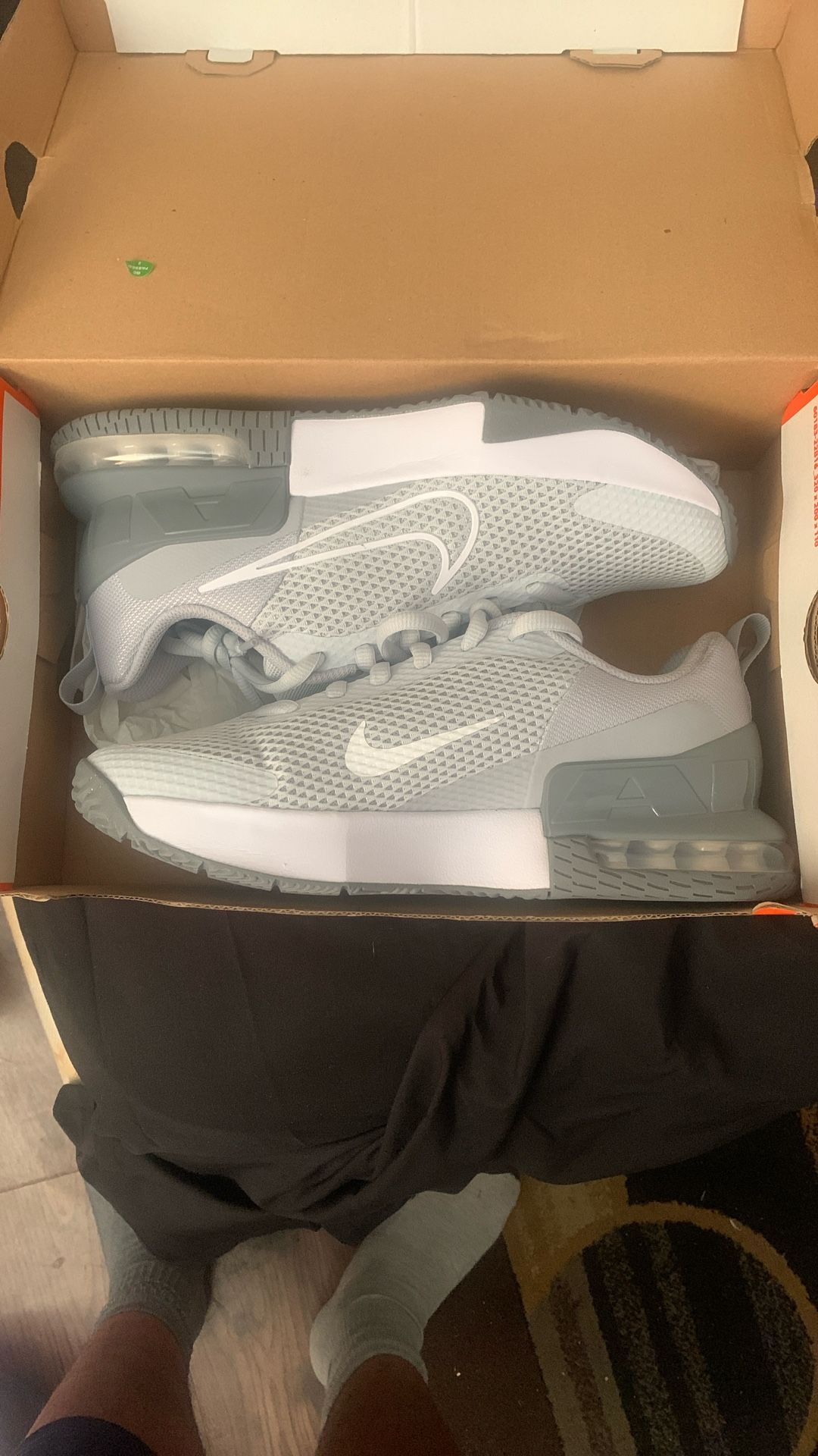 Fresh Out The Box Air Max Shoes
