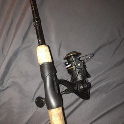 Fishing Rod
