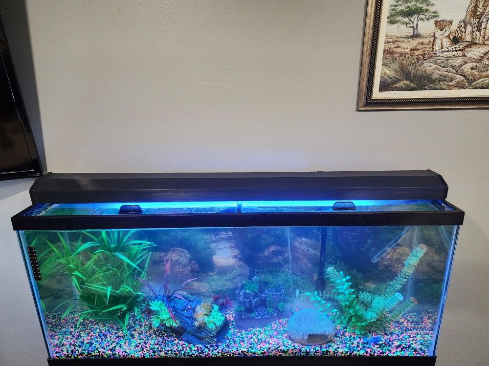 55 Gallon Fish Tank Light And 110 Gallon Filter