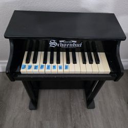 Mini Piano( Srhoenhut)