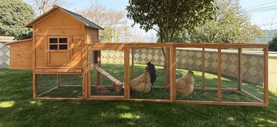 Chicken coop