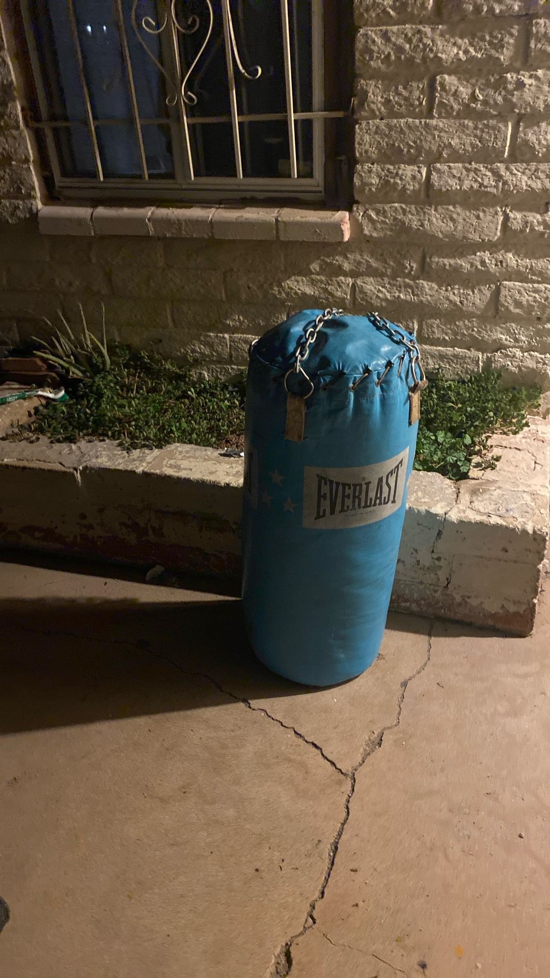 Everlast Punching Bag 
