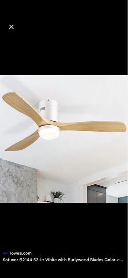 Ceiling Fan
