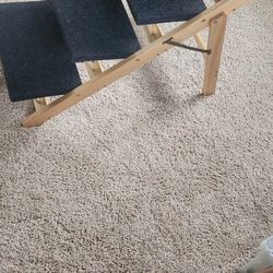 Dog Steps