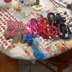 Small Dog Accessories 1 Harness 5 Leashes 2 Little Combs And Poop Bags