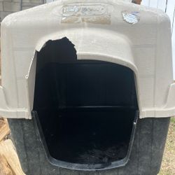Dog house 