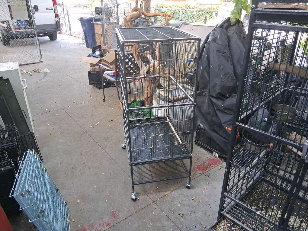 Bird Cage 20×31 38 "Tall