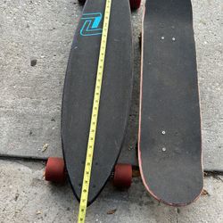 Z Flex Longboard and Skateboard