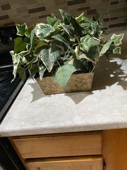 Artificial plant. Read description for details and location.