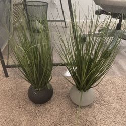 Decorative Faux Plants
