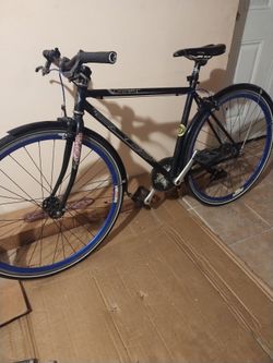 Fixie clásica .  Rodada 700 .  45 cm