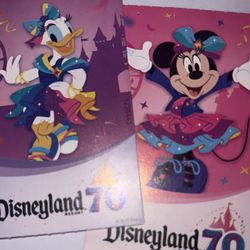 DISNEYLAND 🎢🍿🥤🥨🍦(2) TICKETS 🎟️ 🎟️ ONE ☝️ PARK $300 PRICE FIRM