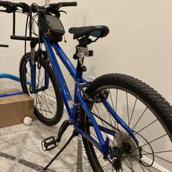 Mountain bike sale