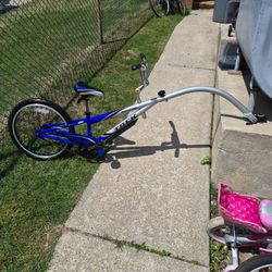 TREK MOUNTRAIN TRAIN 20 INCH BIKE TRAILER - SUPER NICE LIKE NEW
