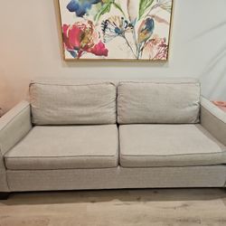 Used Gray Couch