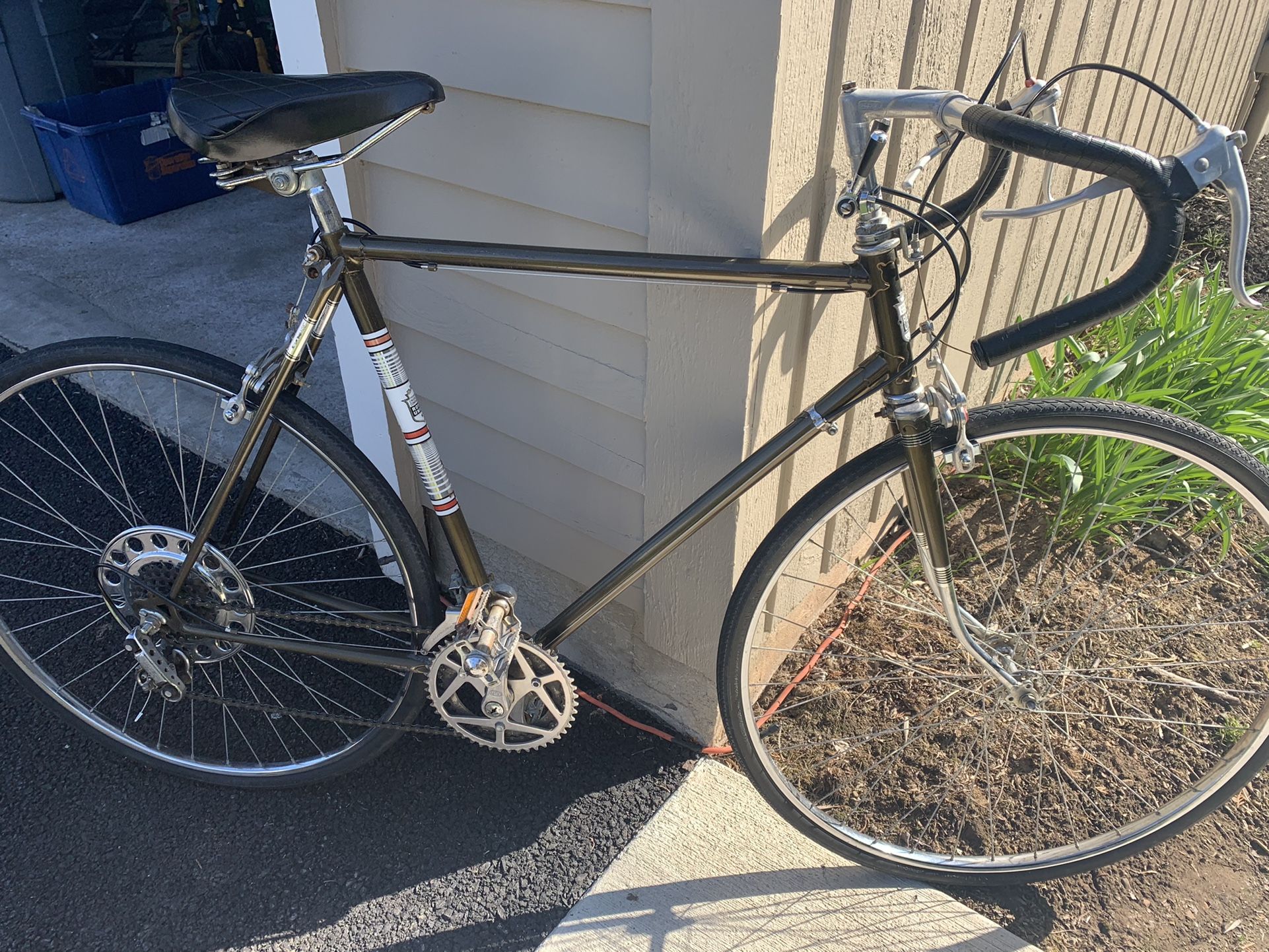 Beautiful 10 Speed Royce Union Bicycle