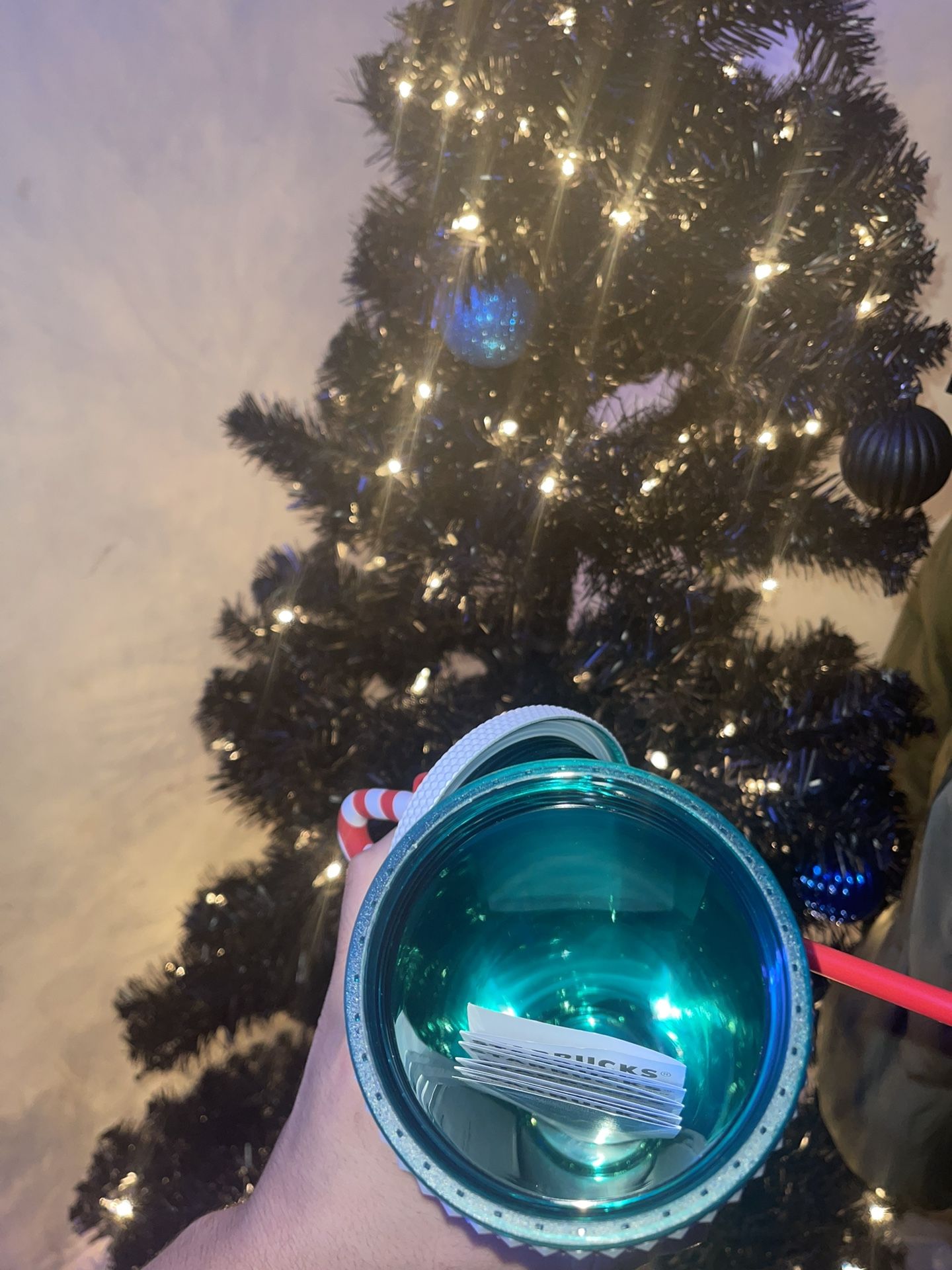 STARBUCKS DISNEY CHRISTMAS CUP