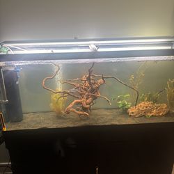 Salt Water/ Fresh Water Tank For Sale