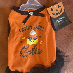 Halloween Pet Dress Xs