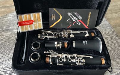 Clarinet with carry case in excellent condition- Low Price. $45