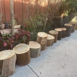 Wood Stumps 