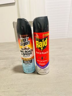 Hot Shot and Raid Insect Killer Spray $4 ea.