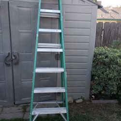 Davidson Ladder 
