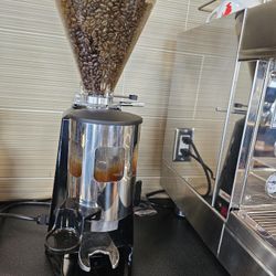 Estella - Commercial Coffee Grinder - Closing Sale!