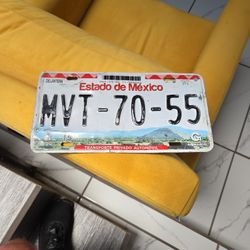 Estado De Mexico License P.