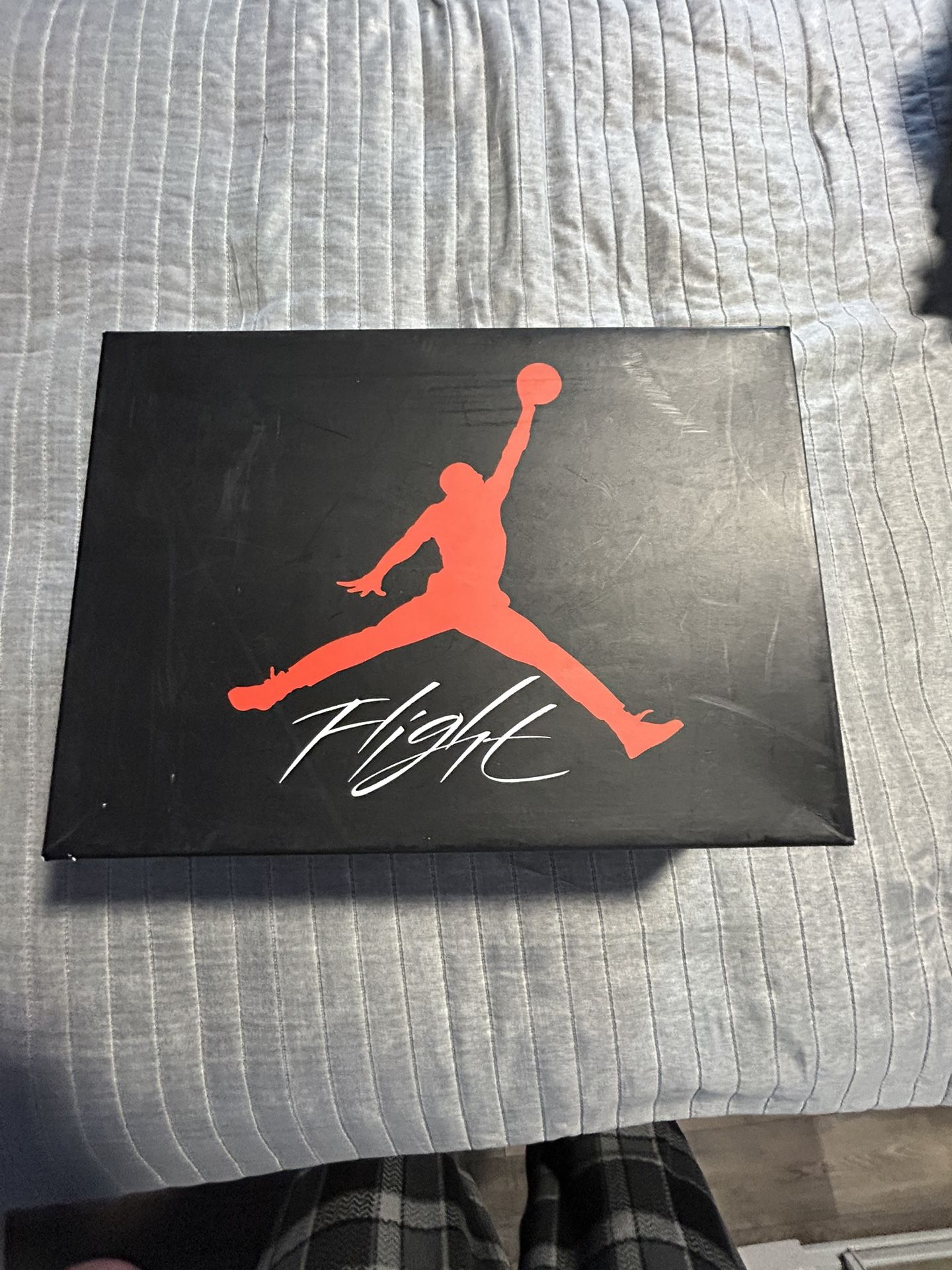 Air Jordan 4s