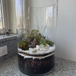 Dry plants, decoration.