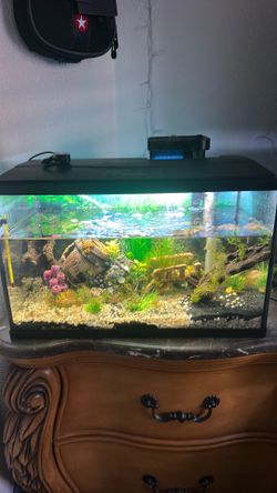 10 gallon aquarium ( no live fish in tank)