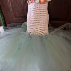 Fairy Tutu Dress