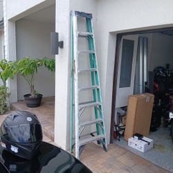 Tall Lader 