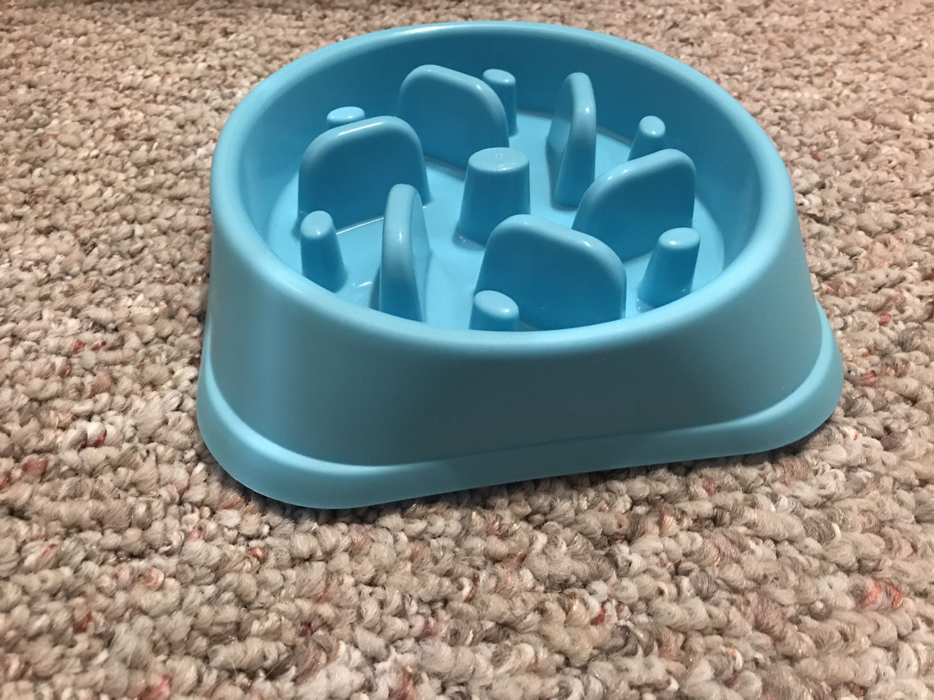 Pet slow eating puzzle bowl