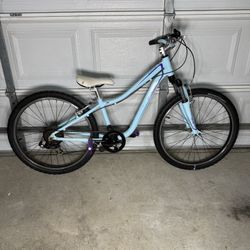 Specialized Hotrock 