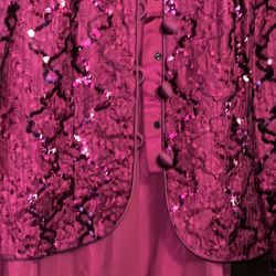 Gorgeous Two Piece Dress, Sequence Jacket I’d Part Of It!