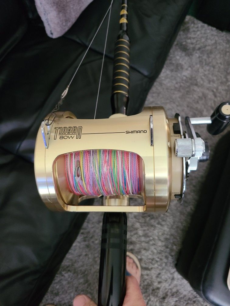 Tiagra 80w for Sale in Lake Worth, FL - OfferUp