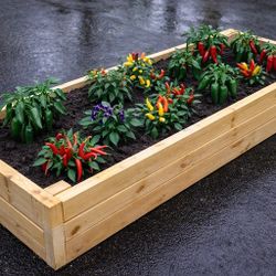 Time To Grow Your Own Food Garden Beds 64"L x 23"W x 11.5"H 